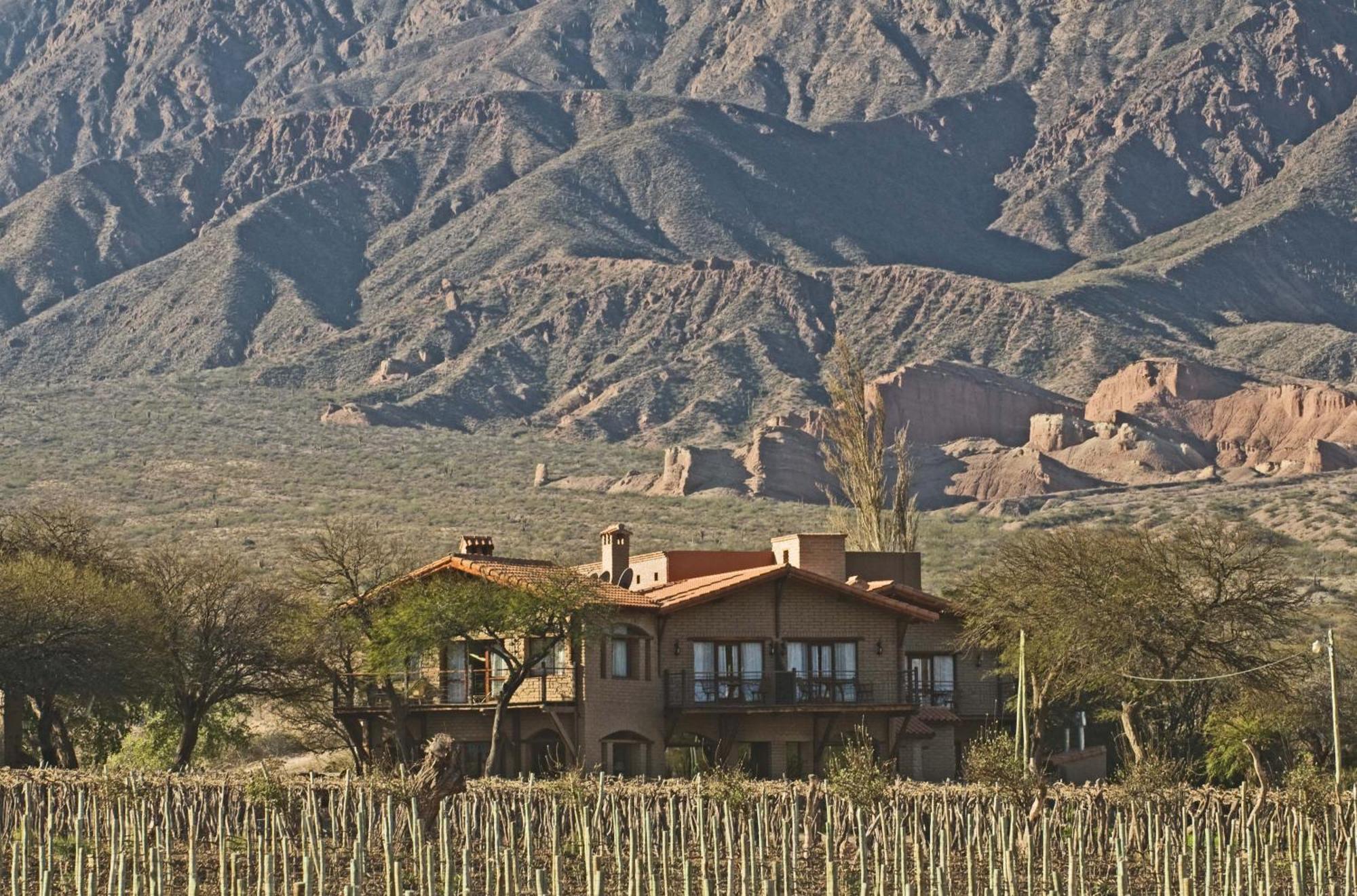 La Casa De La Bodega - Wine Boutique Hotel Cafayate Esterno foto