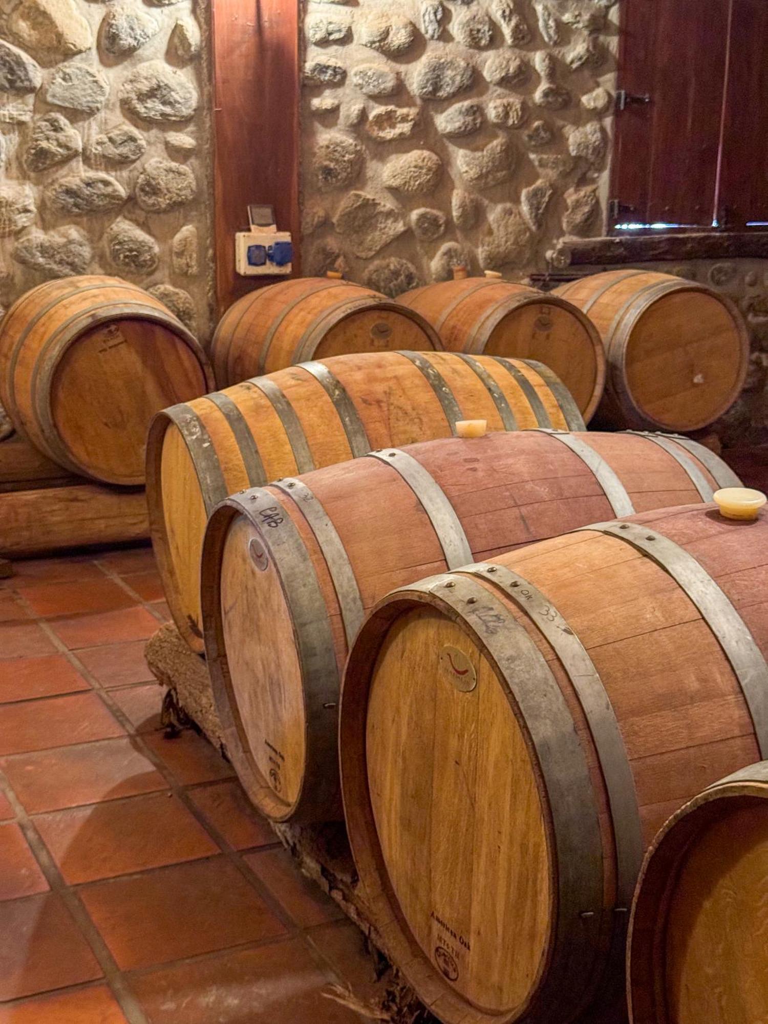 La Casa De La Bodega - Wine Boutique Hotel Cafayate Esterno foto