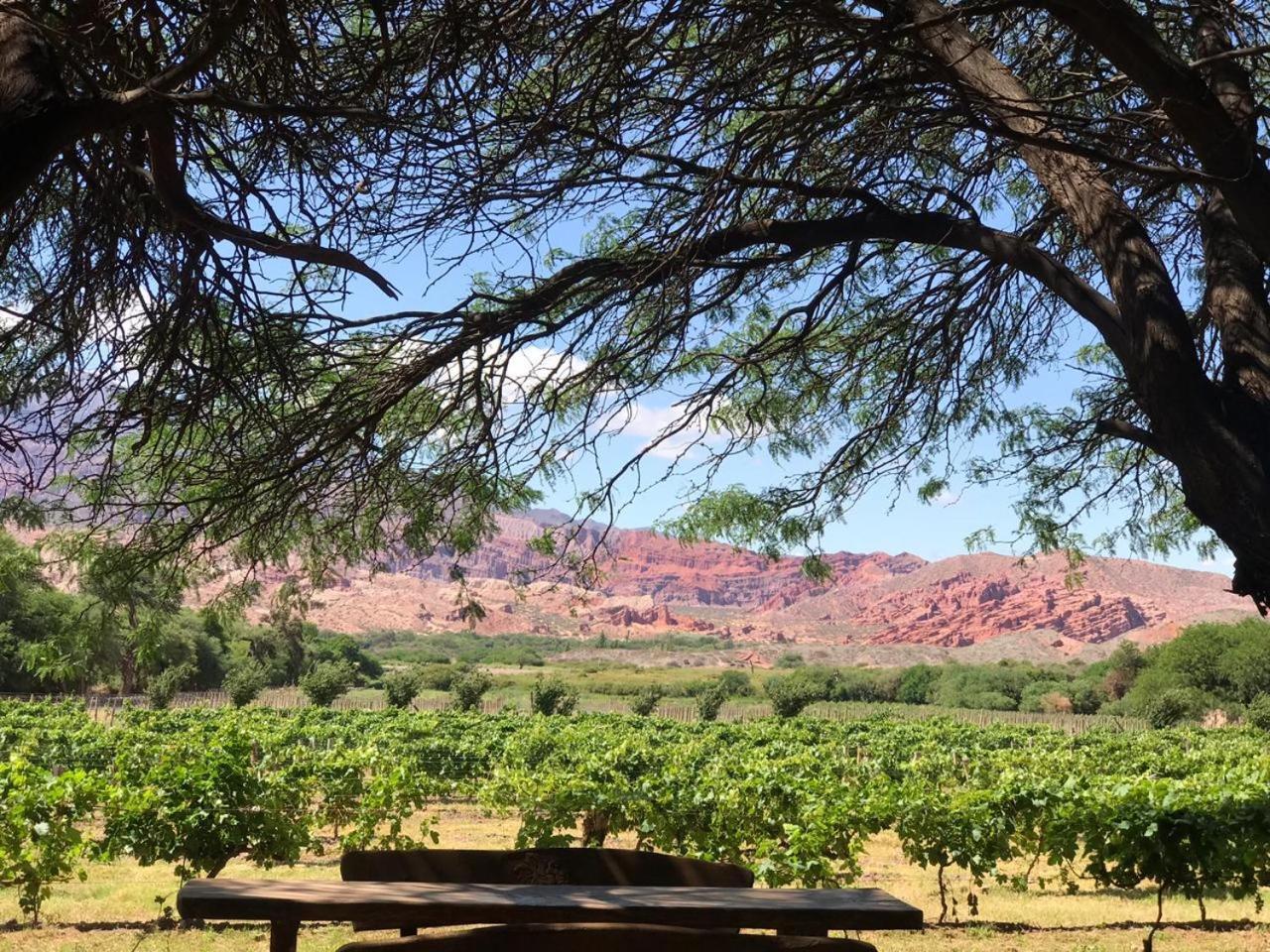 La Casa De La Bodega - Wine Boutique Hotel Cafayate Esterno foto